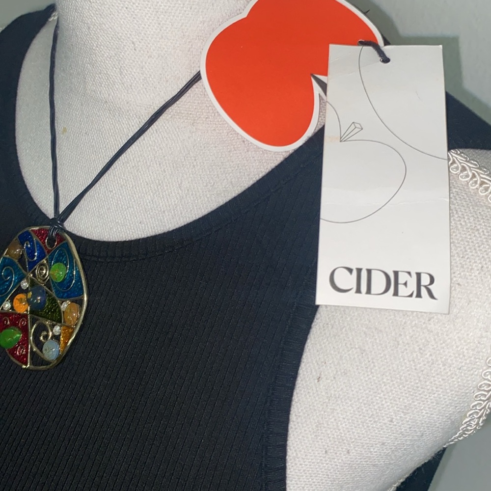 NWT Cider Bodycon Dress w/ Chico’s Necklace - Picture 2 of 5